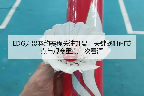 EDG无畏契约赛程关注升温，关键战时间节点与观赛重点一次看清